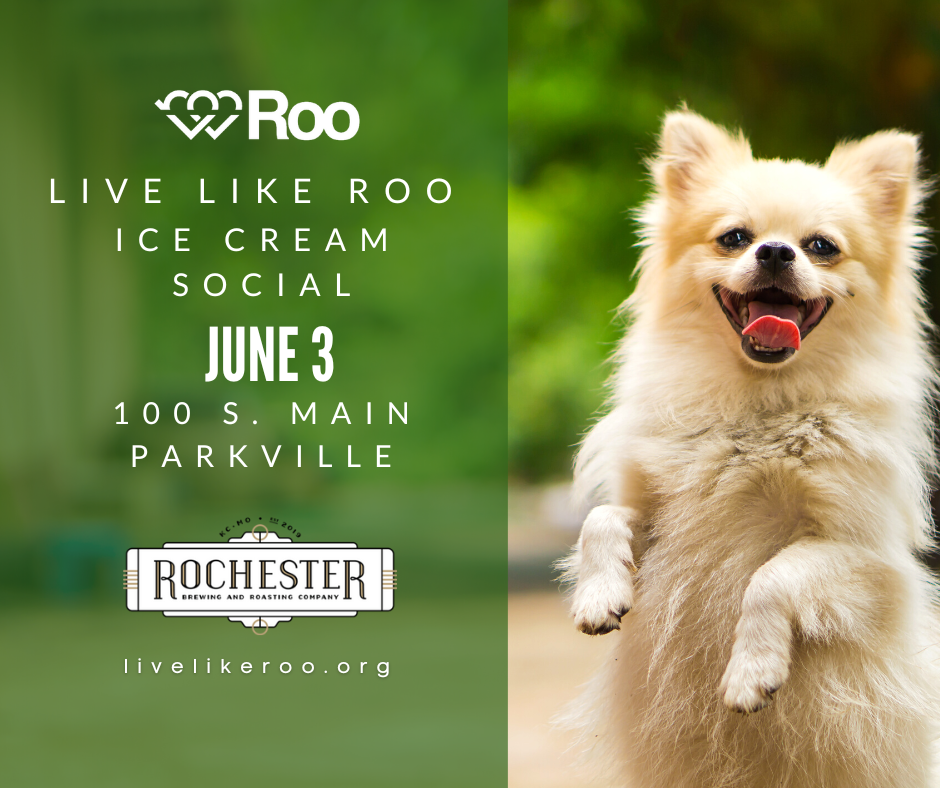 Live Like Roo Ice Cream Social Fundraising Event Saturday June 3 at Rochester Brewing and Roasting in Parkville Missouri